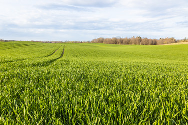 Similar image 21118954