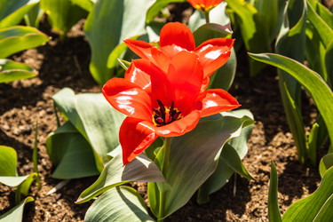 Similar image 21118957