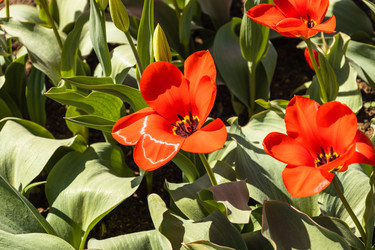 Similar image 21118959