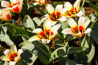 Similar image 21119247