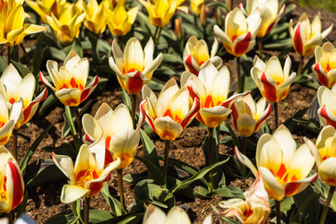 Similar image 21119255