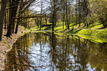 Similar image 21119264