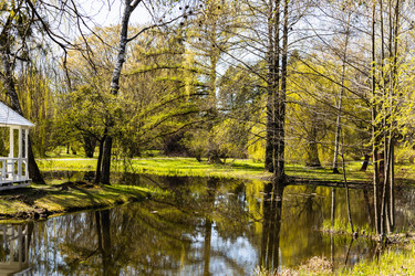 Similar image 21119267