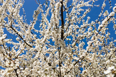 Similar image 21119268