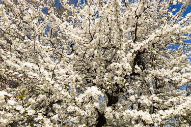 Similar image 21119269