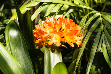 Similar image 21119270