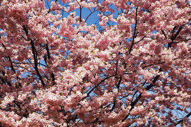 Similar image 21119272