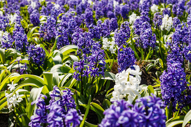 Similar image 21119273