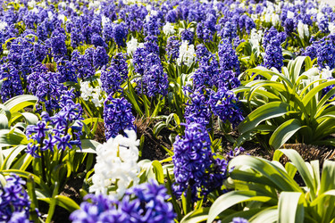 Similar image 21119274