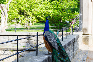 Similar image 21119423