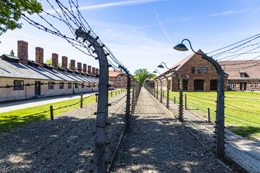 Similar image 21119431