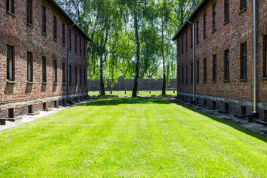 Similar image 21119433