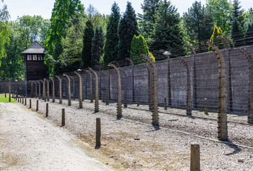 Similar image 21119436