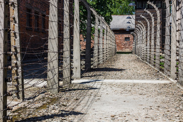 Similar image 21119443