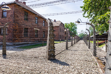 Similar image 21119446