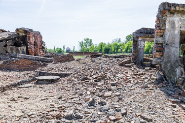 Similar image 21119452