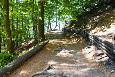 Similar image 21118982