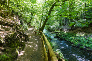 Similar image 21118989