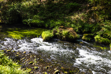 Similar image 21118990