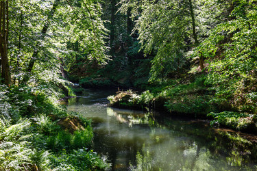 Similar image 21118992