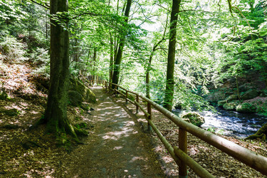 Similar image 21118994