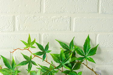 Similar image 21114807