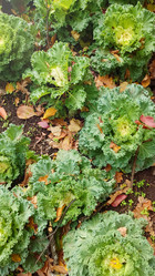 Similar image 21114486