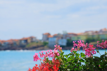 Similar image 21114626