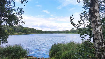 Similar image 21114630