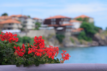 Similar image 21114639