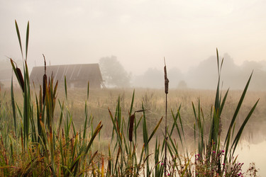 Similar image 21114644