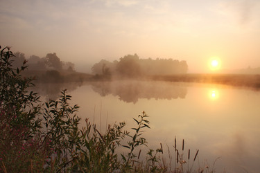 Similar image 21114645