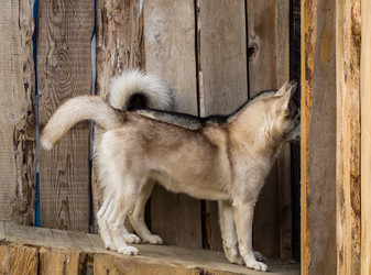 Similar image 21114527