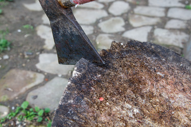 Similar image 21114673