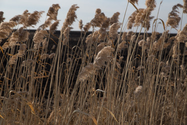 Similar image 21114681