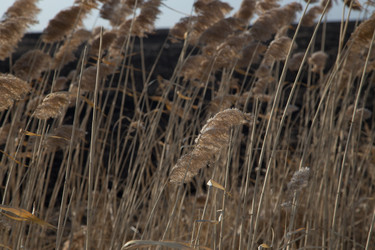 Similar image 21115535