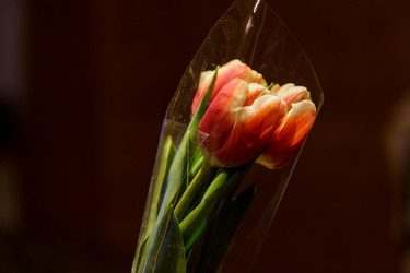 Similar image 21115541