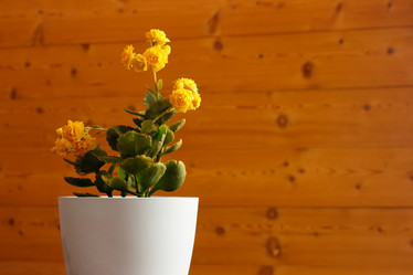 Similar image 21115543