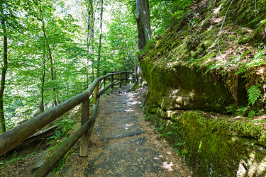 Similar image 21119281