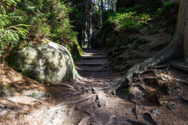 Similar image 21119299