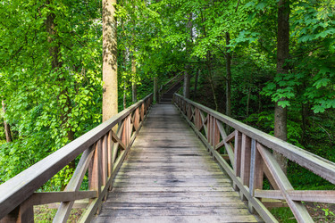 Similar image 21119324