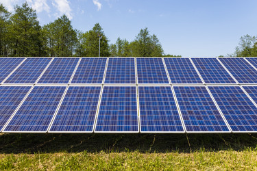 Similar image 21119329