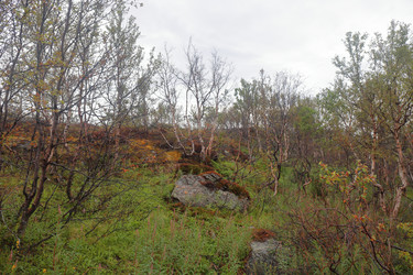 Similar image 21114545