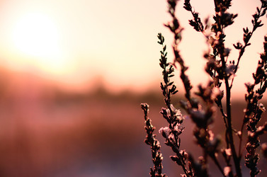 Similar image 21114217