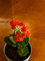 Similar image 21114683