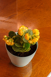 Similar image 21114684