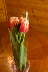 Similar image 21114685