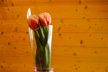 Similar image 21114686