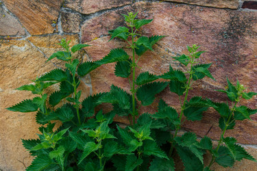 Similar image 21114687