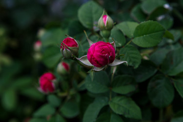 Similar image 21114689